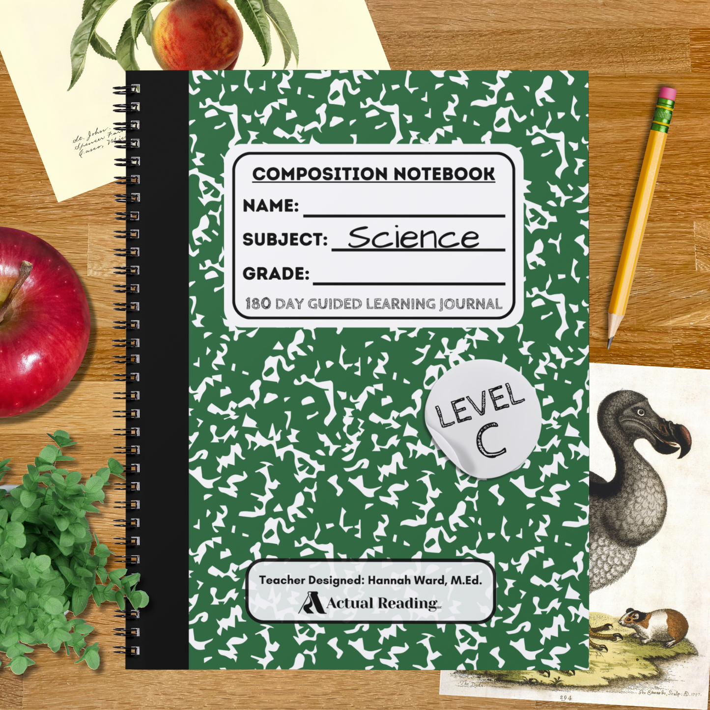 Digital Collection | Level C Guided Learning Journal Bundle