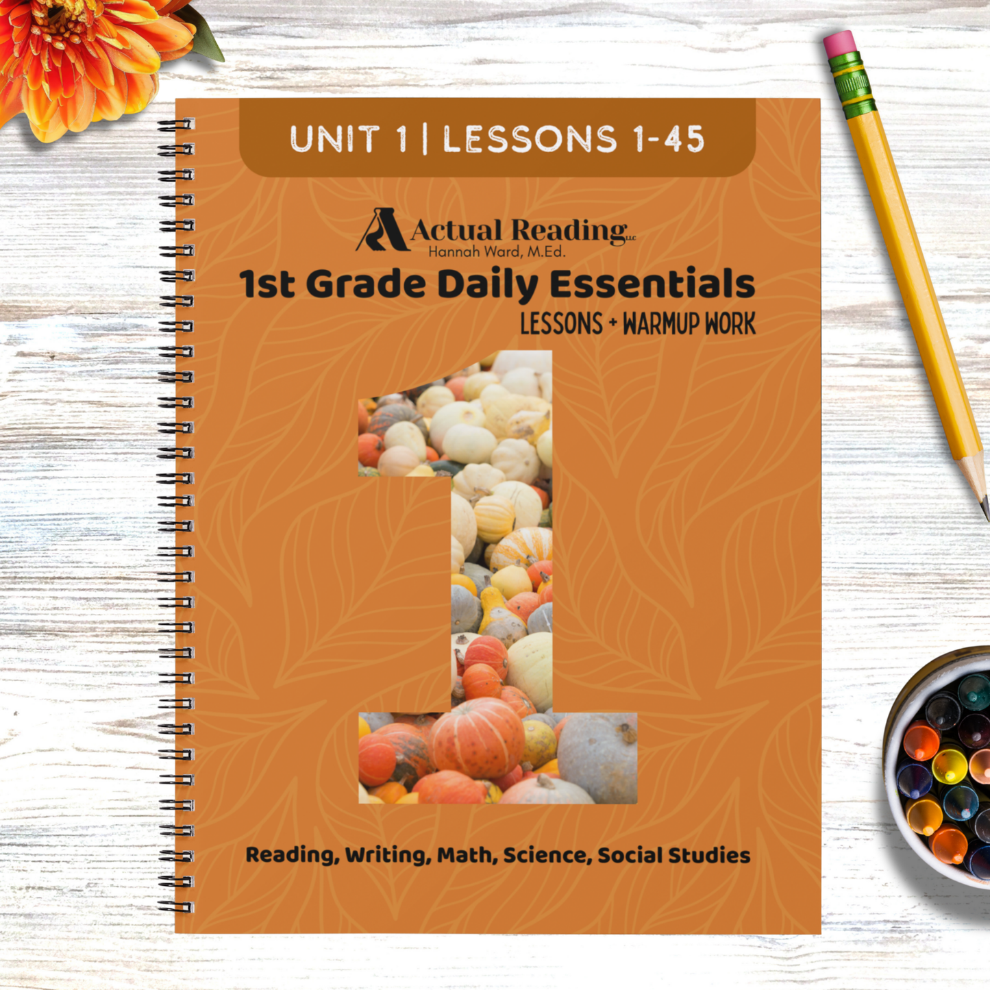 [DIGITAL] 1st Grade Daily Essentials | Reading, Writing, Math, Science, Social Studies | Full Year Bundle, Lessons 1 - 180 | Grade: 1 (Age 6-7)