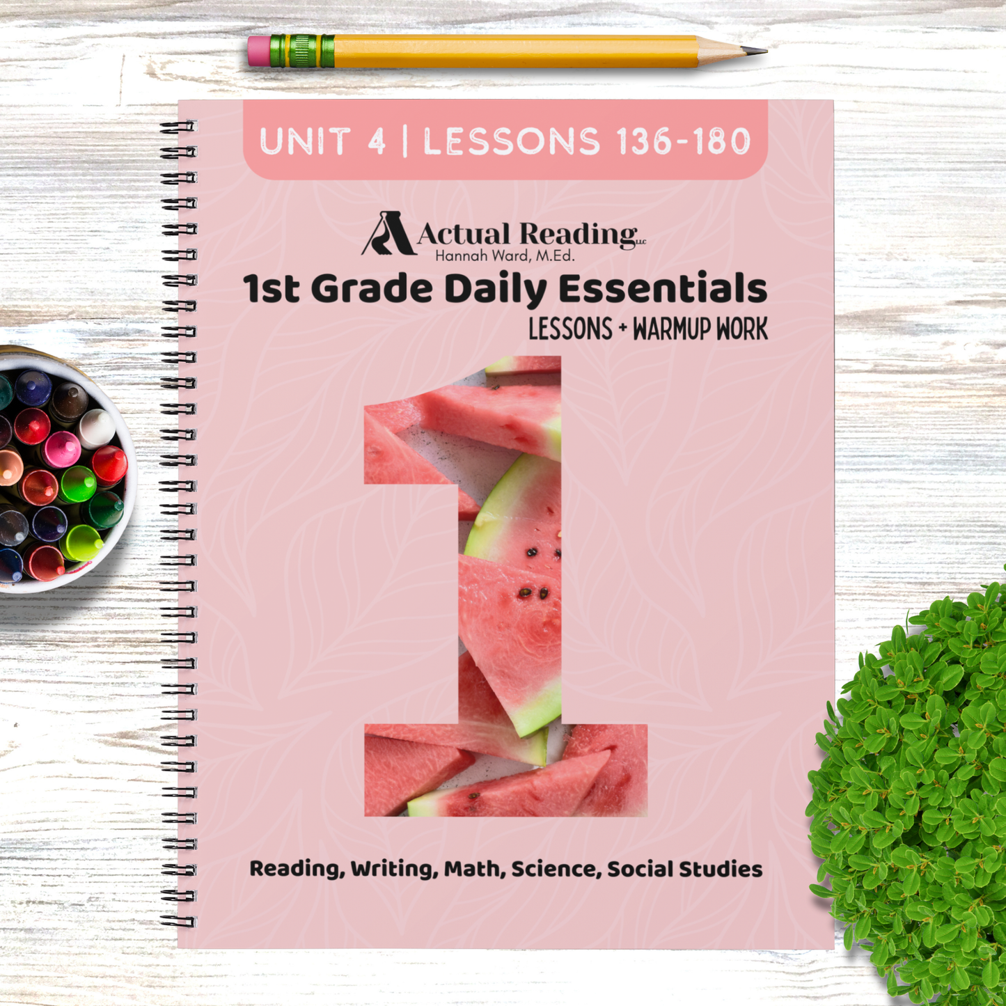 [DIGITAL] 1st Grade Daily Essentials | Reading, Writing, Math, Science, Social Studies | Full Year Bundle, Lessons 1 - 180 | Grade: 1 (Age 6-7)