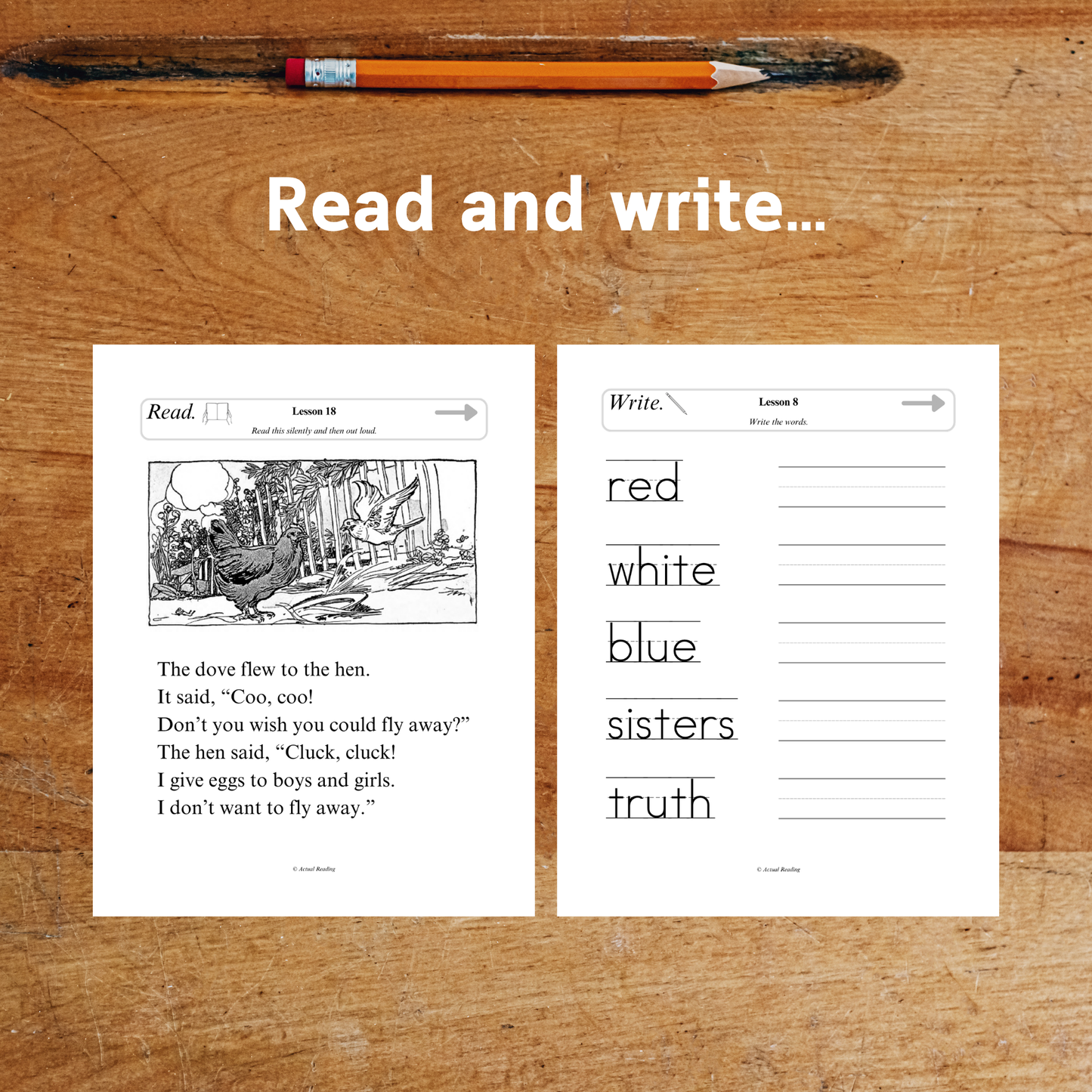 [DIGITAL] American Pioneer Curriculum | English | Level 1 | Complete Book 1-6 Bundle | Grade: 1, 2, 3 (Age 6-9)