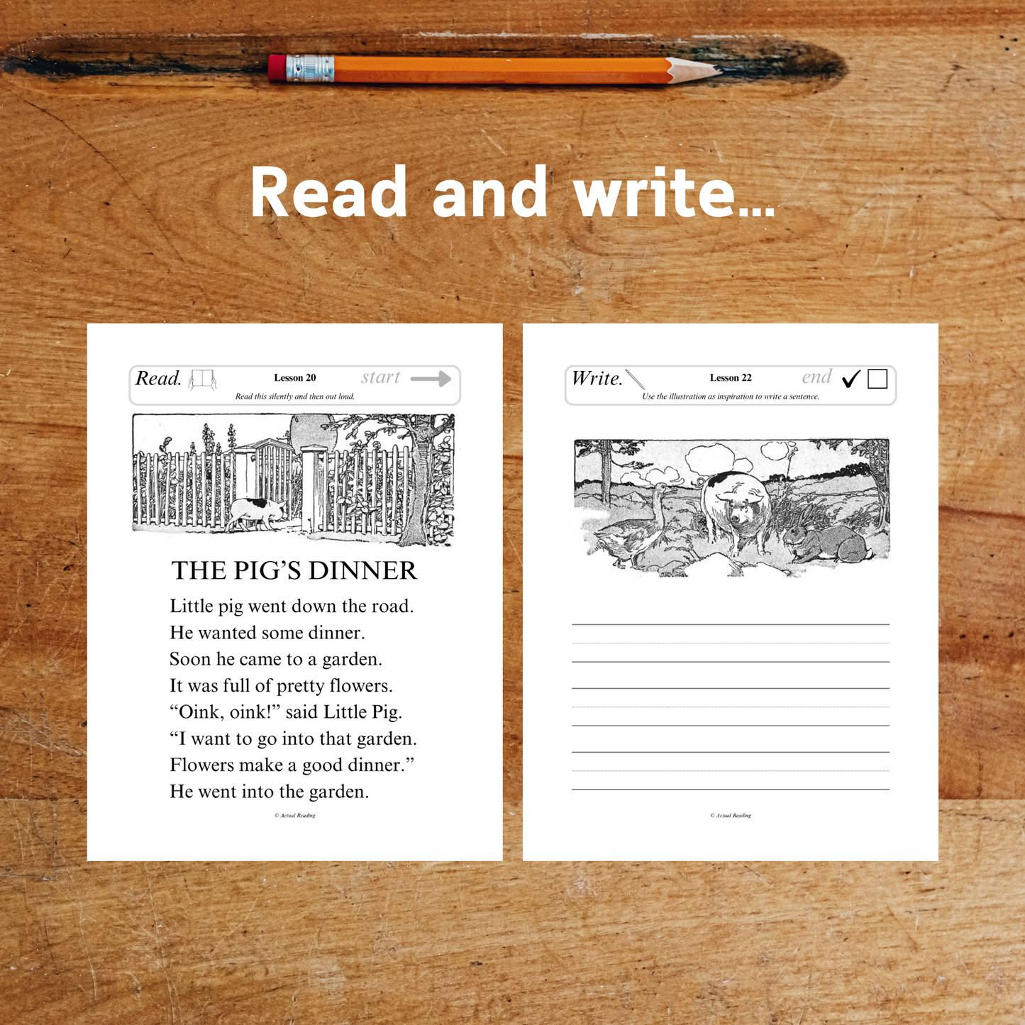 [DIGITAL] American Pioneer Curriculum | English | Level 1 | Complete Book 1-6 Bundle | Grade: 1, 2, 3 (Age 6-9)