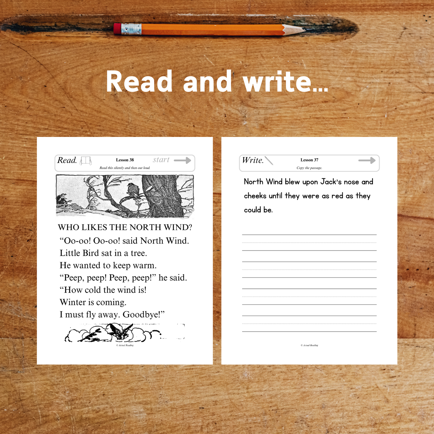 [DIGITAL] American Pioneer Curriculum | English | Level 1 | Complete Book 1-6 Bundle | Grade: 1, 2, 3 (Age 6-9)