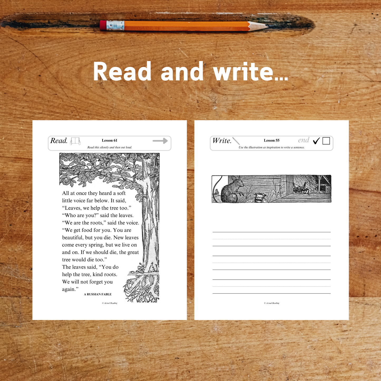 [DIGITAL] American Pioneer Curriculum | English | Level 1 | Complete Book 1-6 Bundle | Grade: 1, 2, 3 (Age 6-9)
