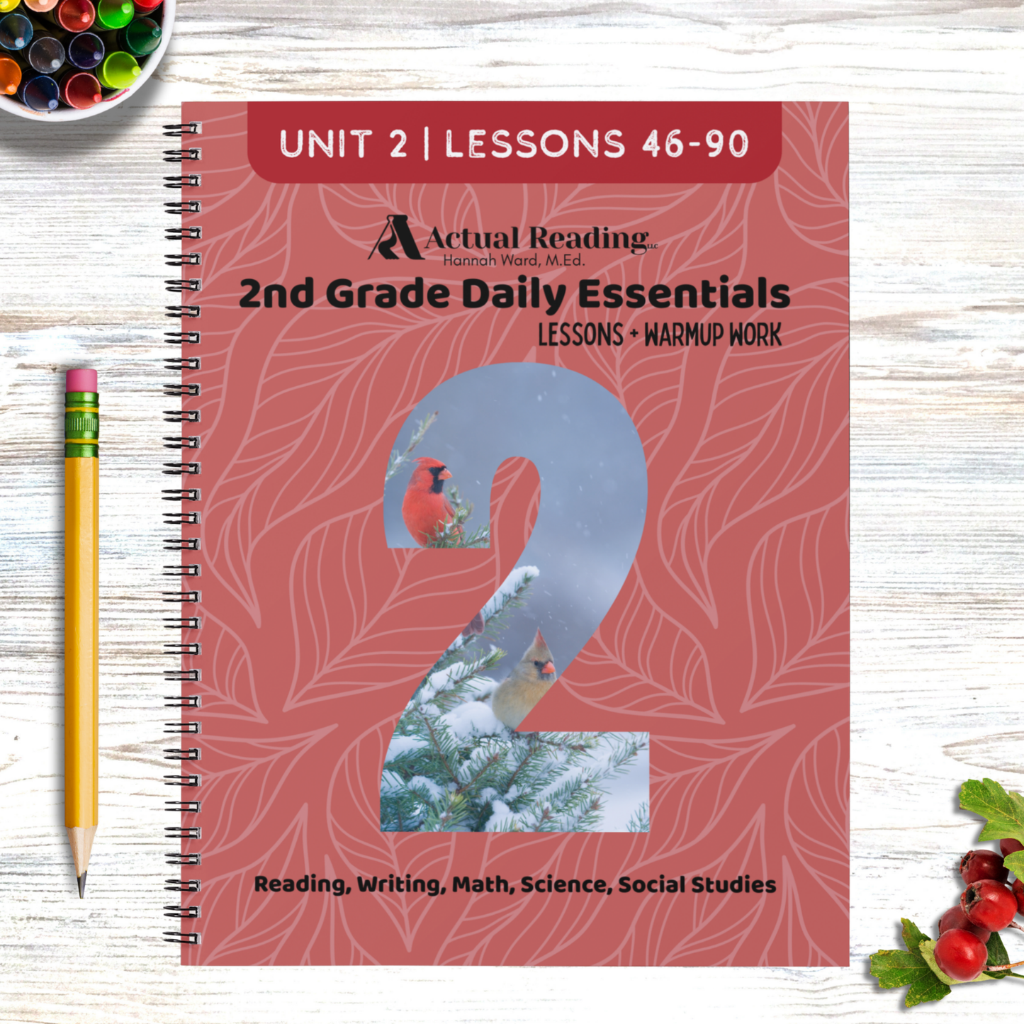 [DIGITAL] Early Elementary Daily Essentials | 1st Grade, 2nd Grade, 3rd Grade | Reading, Writing, Math, Science, Social Studies | All Units | Grade: 1, 2, 3 (Age 6-9)