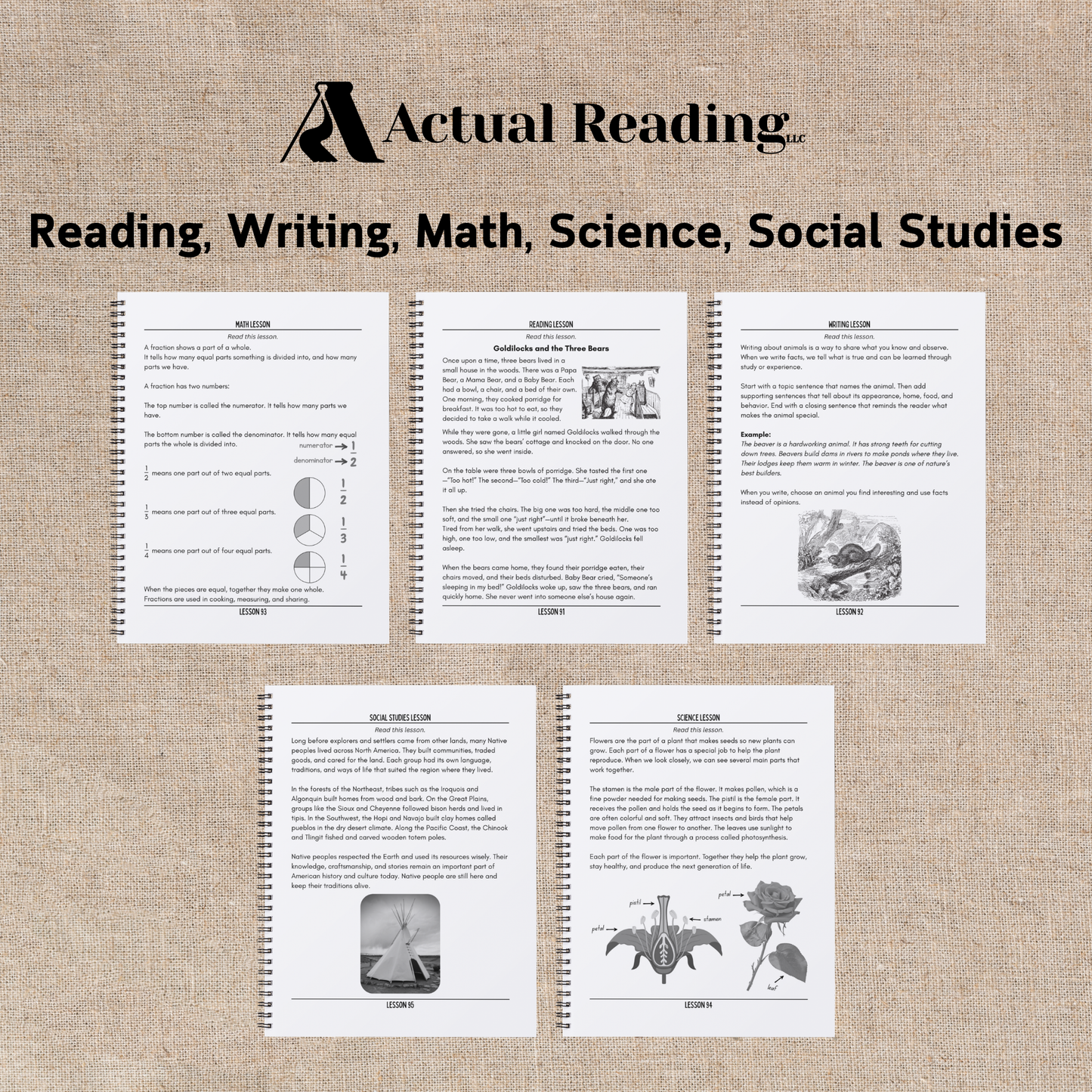 Digital Collection | Our Best Selling 3rd Grade Bundle | Grade: 3 (Age: 8-9)