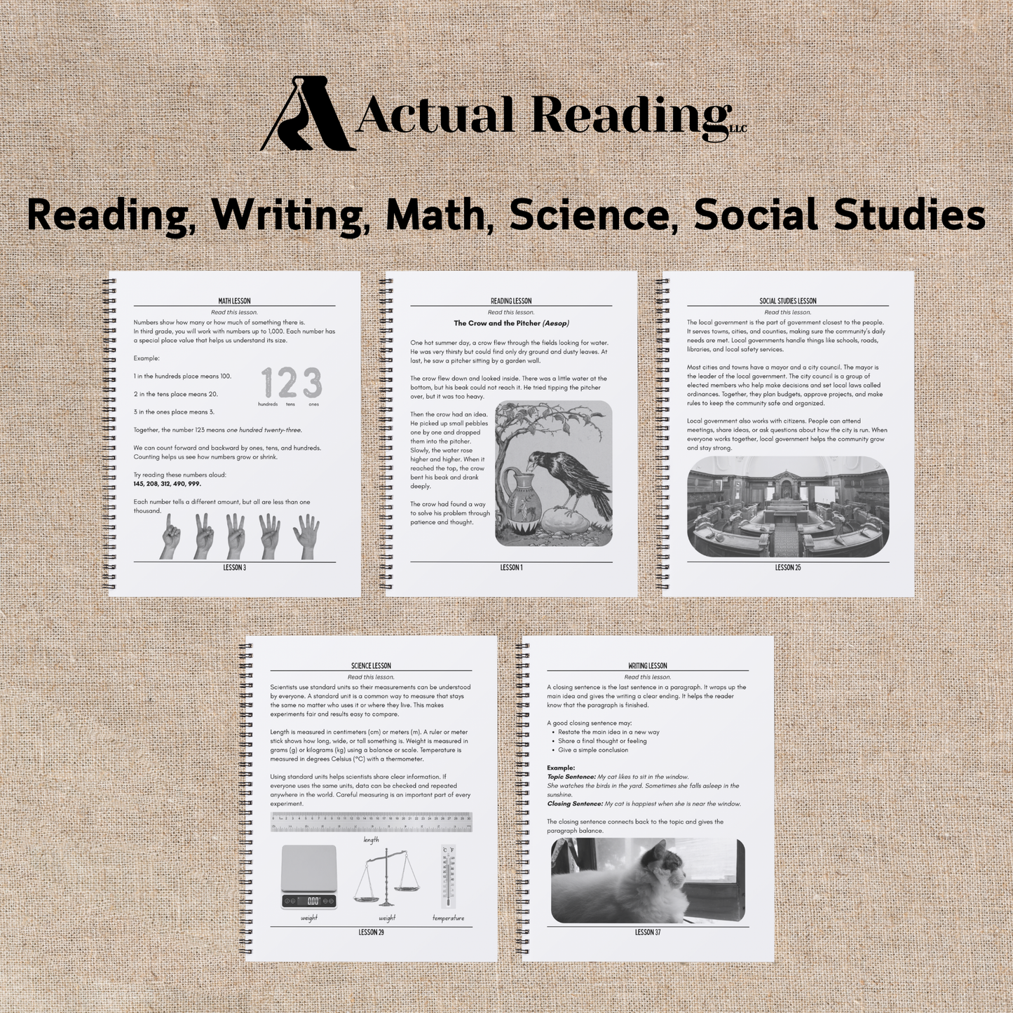 [DIGITAL] 3rd Grade Daily Essentials | Reading, Writing, Math, Science, Social Studies | Full Year Bundle, Lessons 1 - 180 | Grade: 3 (Age 8-9)