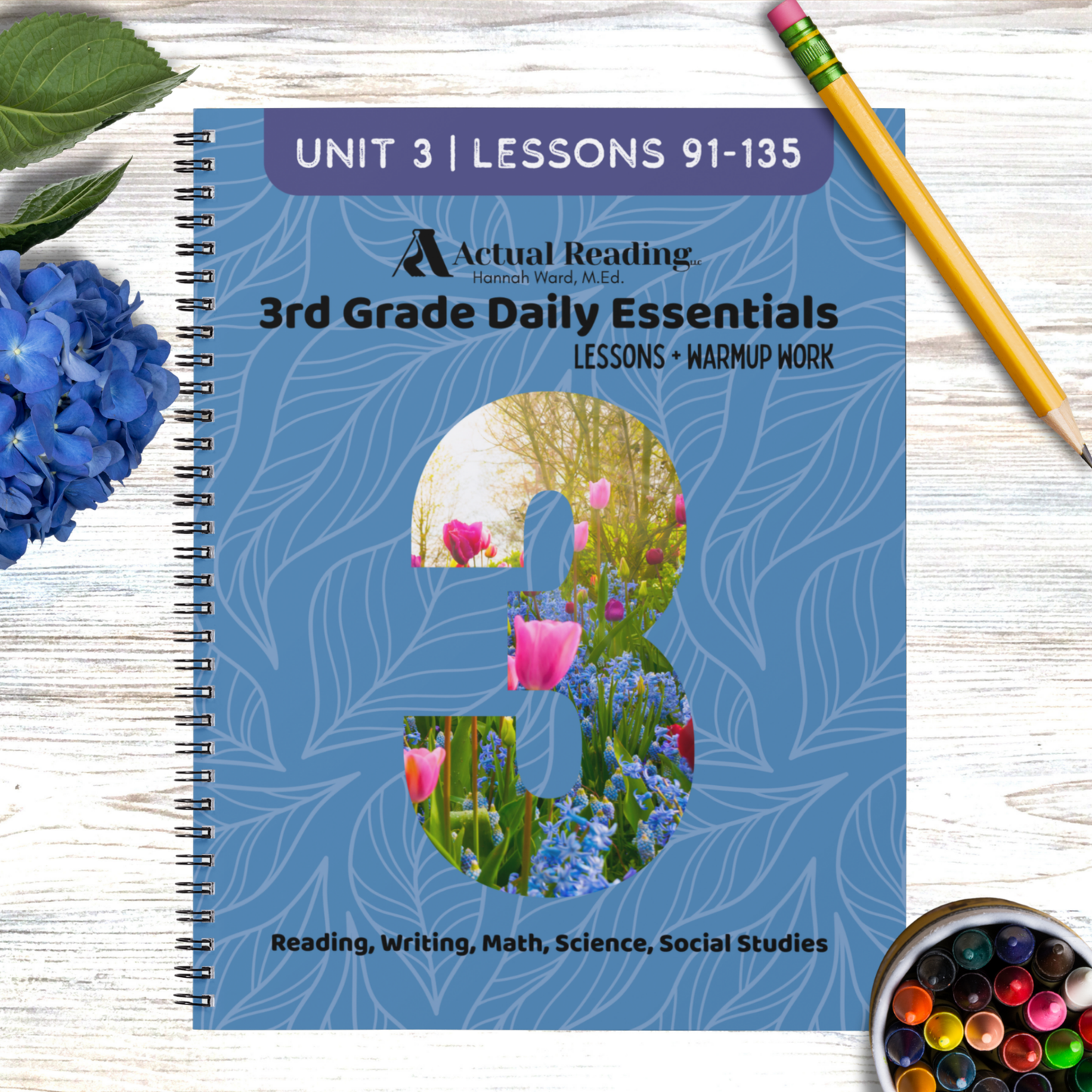 [DIGITAL] 3rd Grade Daily Essentials | Reading, Writing, Math, Science, Social Studies | Full Year Bundle, Lessons 1 - 180 | Grade: 3 (Age 8-9)