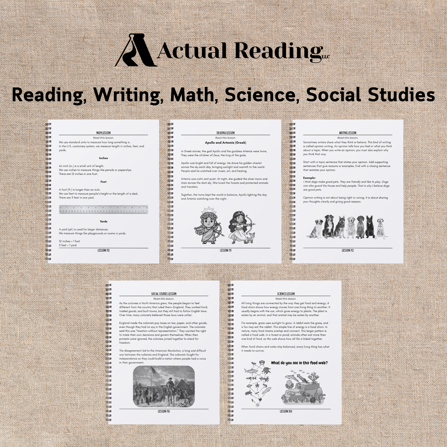 [DIGITAL] 3rd Grade Daily Essentials | Reading, Writing, Math, Science, Social Studies | Full Year Bundle, Lessons 1 - 180 | Grade: 3 (Age 8-9)